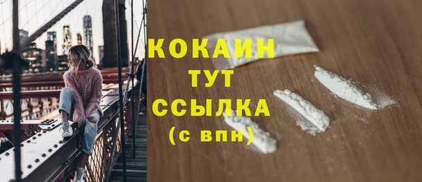 крисы Нижний Тагил