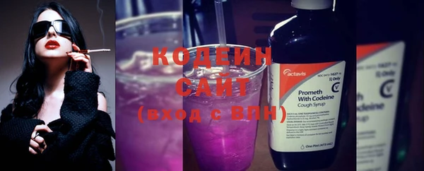 крисы Корсаков
