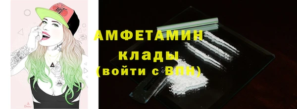 крисы Корсаков