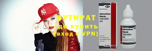 крисы Корсаков