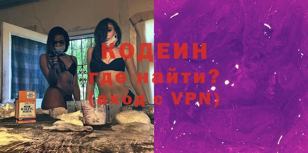 крисы Корсаков