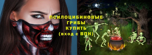 крисы Нижний Тагил