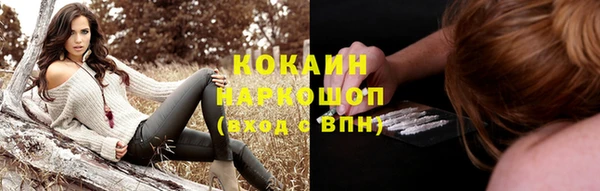 крисы Корсаков