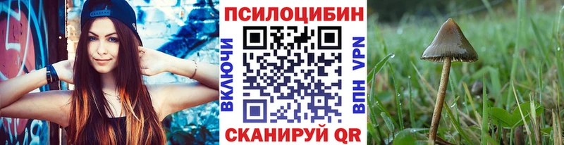 Галлюциногенные грибы мицелий  купить  цена  mega как зайти  Сокол 