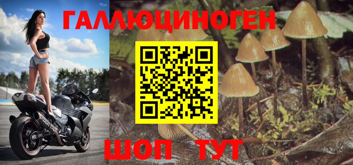 Сокол  Псилоцибиновые грибы Magic Shrooms  Вход с VPN  Псилоцибиновые грибы GOLDEN TEACHER 