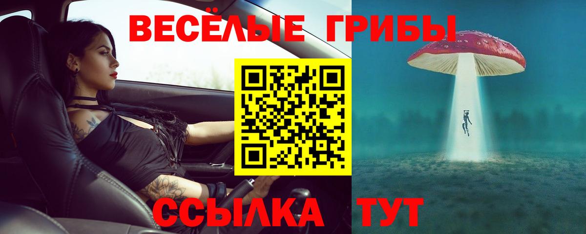 Галлюциногенные грибы Cubensis Сокол
